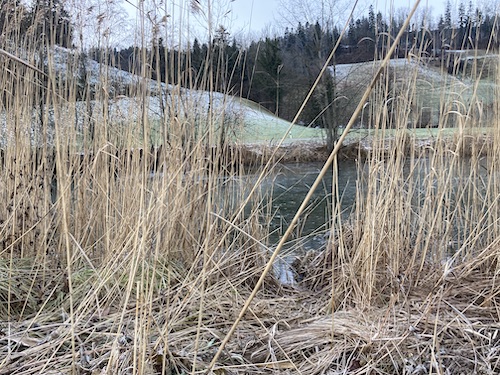Winterweiher