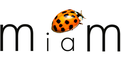 miam Konzerte