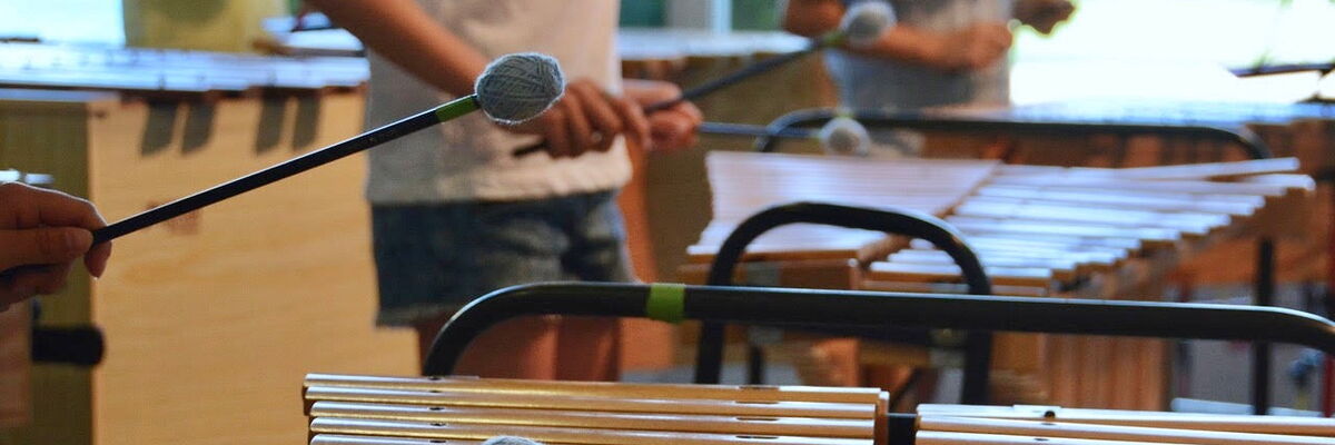 Franziska Auch, Musiklehrerin Primarschule, Ausbildung A und C 2017 Arbeit mit Xylophon
